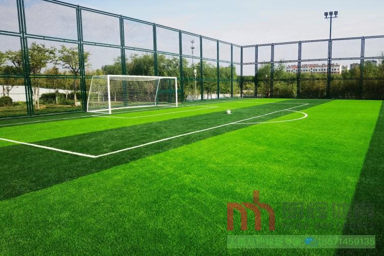 山東青島平度2020公園東北角籠式足球場(chǎng)