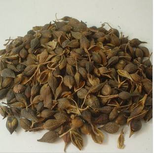 連翹熱泵烘干工藝揭秘，烘干廠家「工藝分享」
